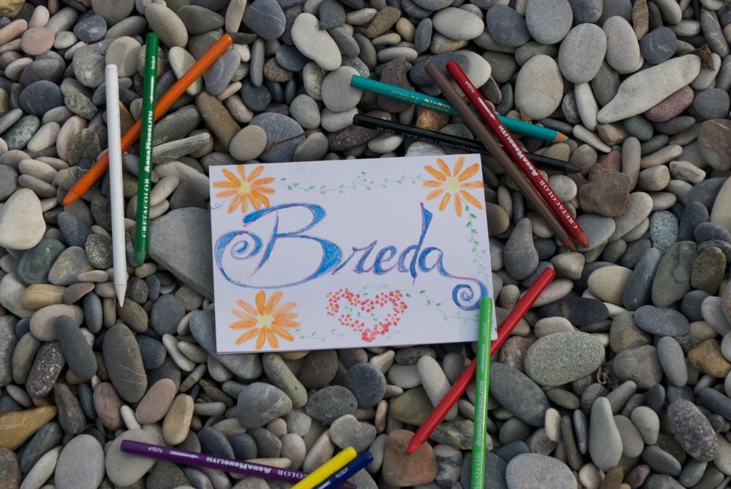 Agriturismo La Breda Konuk evi San Felice del Benaco Dış mekan fotoğraf