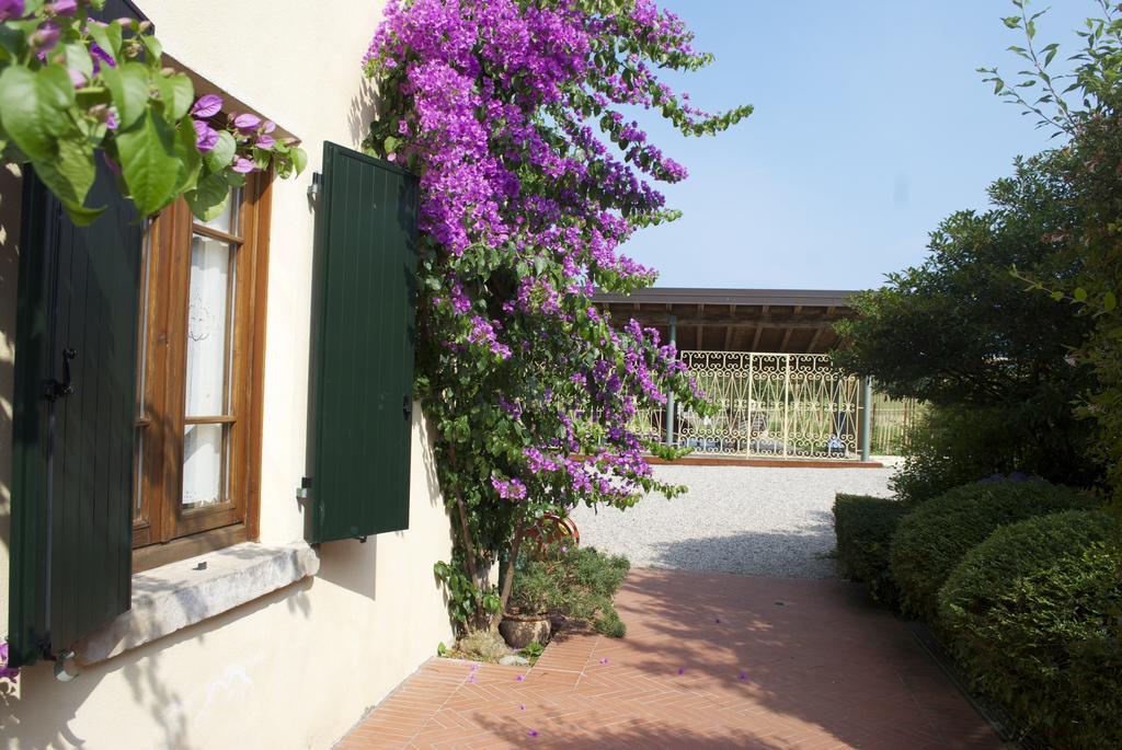 Agriturismo La Breda Konuk evi San Felice del Benaco Dış mekan fotoğraf